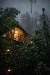 Edens Munnar - 9