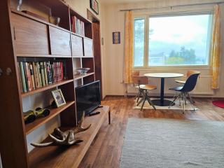 Artist Residence in Authentic Rovaniemi - 4