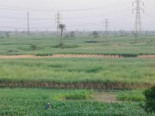 Mountain - 1