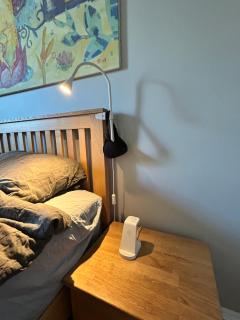 Luxury spacious 2 room flat near Agenskalna market - 7