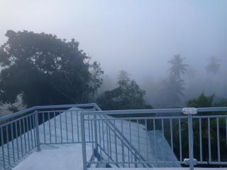 Cinnamon Hills - 9