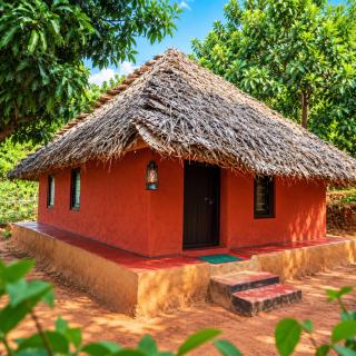 Jungle Farm Mud House - 9