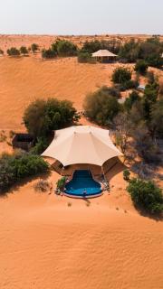 Al Maha, a Luxury Collection Desert Resort & Spa, Dubai - 9