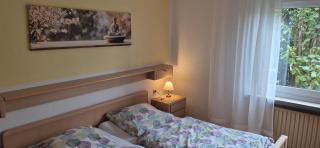 Helle, großzügige, ruhige Wohnung - 9
