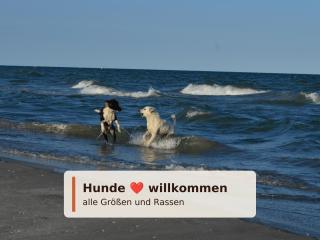 Ferienwohnungen Haus Krabbe zentral im Ort & hundefreundlich, Paare, Alleinreisende und Geocaching zwischen Bremerhaven und Cuxhaven - 9