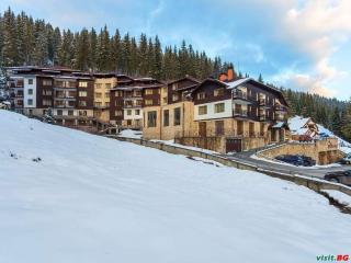Alpine Relax free spa & pool - 8