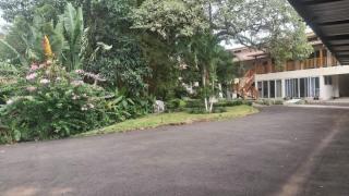 Paradise Rest and Go - 7