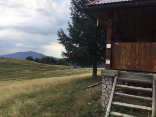 Роза вітрів Намбер три - 9