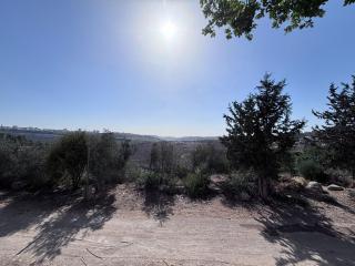Jerusalem Luxury Villa - 1