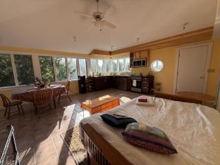Sunny garden apartment near Mt Philo, Charlotte - 5