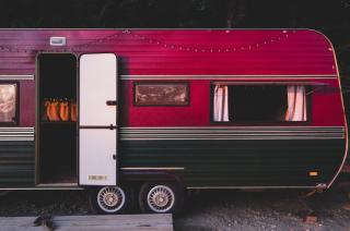 Amanita Wild Camper - 7