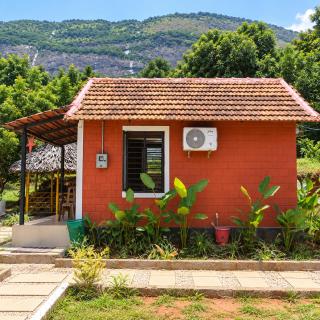 Jungle farmstay - 9