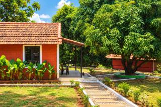 Jungle farmstay - 2
