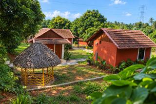 Jungle farmstay - 7