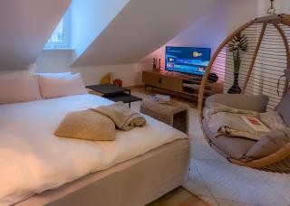 Altstadt Boutique-Loft - 1