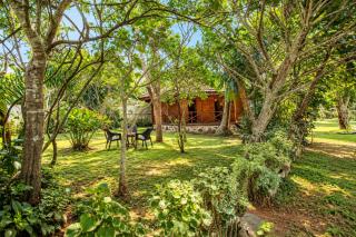 Paradise Bungalow - 3
