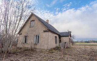 Little Puncho Maja - 3