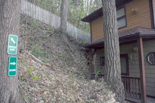 Hawks View's Goshawk Cottage - 1