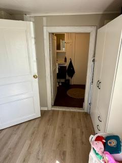 Stora lönn - 1