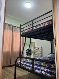 Tropical Nest - 2