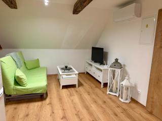 Apartmán Jiřičná - 5