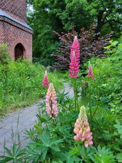 Wasserturm am Park Sanssouci - 9