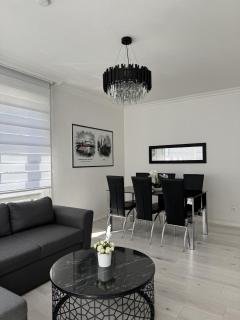 Appartement des 3 pays. 2 mn de Bâle+ Free parking - 7