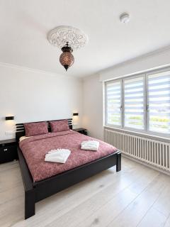 Appartement des 3 pays. 2 mn de Bâle+ Free parking - 4