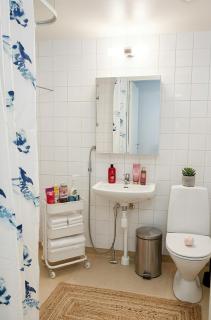 Entire Two Room Cozy Apartment 100 m2 - 5