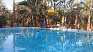 Camping Ecological Coco Oasis with natural Pool - 4