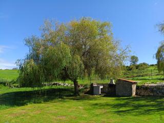 La Tadorna - 4