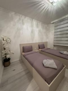 Appartement des 3 pays. 2 mn de Bâle+ Free parking - 2