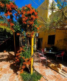 Amplia casa familiar-patio y parrilla - 7
