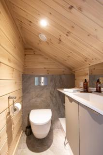 Ylläs Skyview Villa - Stargazing & Jacuzzi - 9