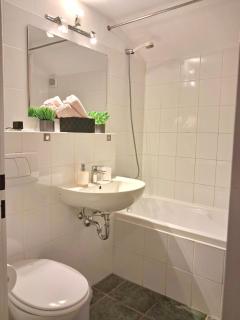 Apartment mit Bergblick kostenloser Parkplatz, WLAN, TV, Einbauküche - 4