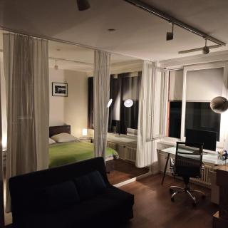 Loft in downtown Zurich - 4