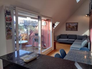 Executive Rooftop Flat in Zurich - 0