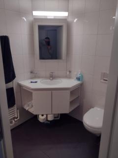 Executive Rooftop Flat in Zurich - 5