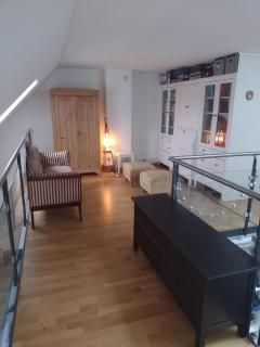 Executive Rooftop Flat in Zurich - 2