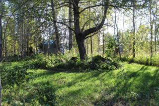 OAAS Dome House - Hottube, Sauna, Chimney & BBQ Included in Price - 2