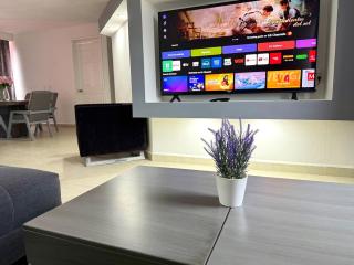 Executive Apartment in Atotonilco de Tula - 9