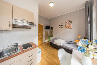 RL 3-Apartments Zentrum Nord - 1