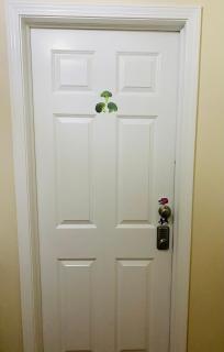 B4 A private room in Naperville downtown with desk and Wi-Fi near everything - 9