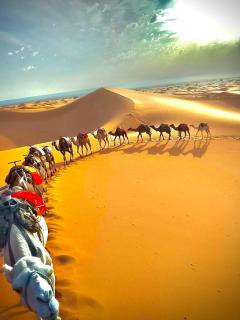 Astera Desert Retreat - 3