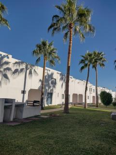 Depita Oasis - 5