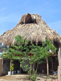 Green Garden Ecolodge - Rincon del Mar - Rincón - 2