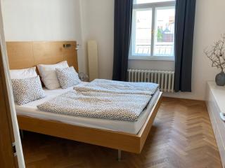 Wenceslas Sq Renovated apartment - 9
