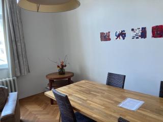 Wenceslas Sq Renovated apartment - 2
