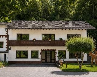 Rotlay Studio by the Lake Near Trier, Vianden and Luxembourg - 9