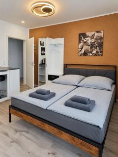 Rotlay Studio by the Lake Near Trier, Vianden and Luxembourg - 0